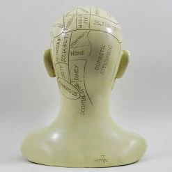 Fiesta Studios Phrenology Head Unique Ornament, Traditional Medical Accessory 20 Cm High