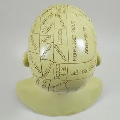 Cheap 😍 Fiesta Studios Phrenology Head Unique Ornament, Traditional Medical Accessory 20 Cm High 👍 14 Fiesta Studios Phrenology Head Unique Ornament, Traditional Medical Accessory 20 Cm High