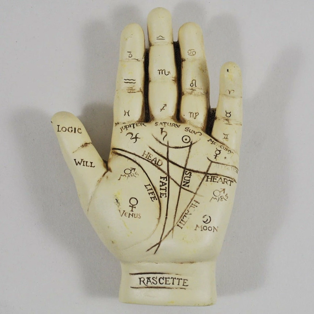 Cheap ❤️ Fiesta Studios Palmistry Hand Ornament With Reading Instruction Booklet 12.5cm ❤️ 5 Fiesta Studios Palmistry Hand Ornament With Reading Instruction Booklet 12.5cm