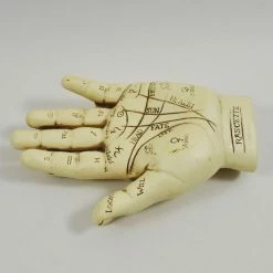 Cheap ❤️ Fiesta Studios Palmistry Hand Ornament With Reading Instruction Booklet 12.5cm ❤️ 10 Fiesta Studios Palmistry Hand Ornament With Reading Instruction Booklet 12.5cm