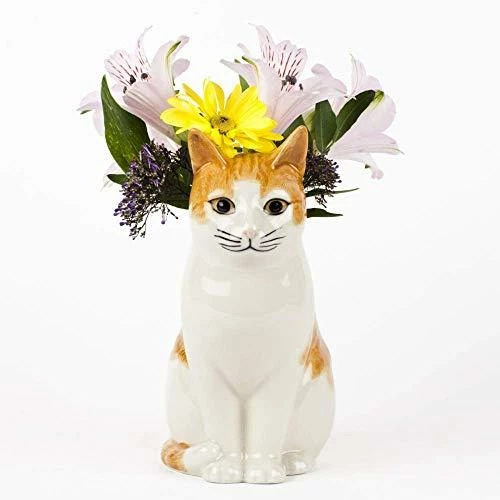 Brand new ๐ Quail Ceramics Squash Ginger & White Cat Small Flower Vase ๐ 3 Quail Ceramics Squash Ginger & White Cat Small Flower Vase