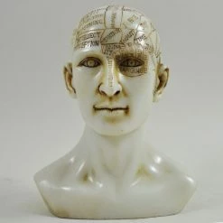 Fiesta Studios Phrenology Head Unique Ornament, Traditional Medical Accessory 15cm High