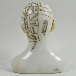 Best Pirce ⭐ Fiesta Studios Phrenology Head Unique Ornament, Traditional Medical Accessory 15cm High ⭐ 9 Fiesta Studios Phrenology Head Unique Ornament, Traditional Medical Accessory 15cm High