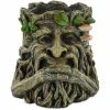 Fiesta Studios Tree Ent Face Plant Pot Holder Holding Beard Decorative Planter