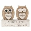 Joe Davies Shudehill Giftware Dreamy Owl Plaque Sisters Are Forever Friends Sign