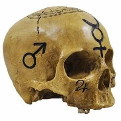 Fiesta Studios Skull Ornament With Black Witchcraft Symbols & Text Decoration Ornaments