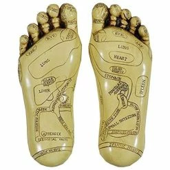 Fiesta Studios Reflexology Feet Set Acupressure Ornament