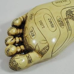 Fiesta Studios Reflexology Feet Set Acupressure Ornament
