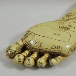 Fiesta Studios Reflexology Feet Set Acupressure Ornament