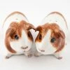 Quail Ceramics Guinea Pig Dutch Salt & Pepper Shakers