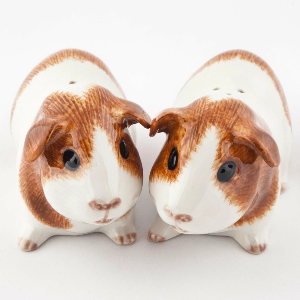 Outlet β¨ Quail Ceramics Guinea Pig Dutch Salt & Pepper Shakers π₯° 3 Quail Ceramics Guinea Pig Dutch Salt & Pepper Shakers