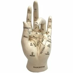 Nemesis Now Palmistry Hand Ornament Chriomancy Fortune Telling
