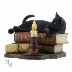 The Witching Hour Cat Figure By Lisa Parker For Nemesis Now Black Cat On Books