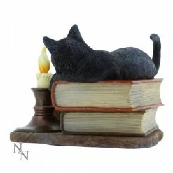 The Witching Hour Cat Figure By Lisa Parker For Nemesis Now Black Cat On Books