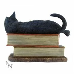 The Witching Hour Cat Figure By Lisa Parker For Nemesis Now Black Cat On Books