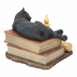 The Witching Hour Cat Figure By Lisa Parker For Nemesis Now Black Cat On Books