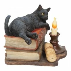 The Witching Hour Cat Figure By Lisa Parker For Nemesis Now Black Cat On Books