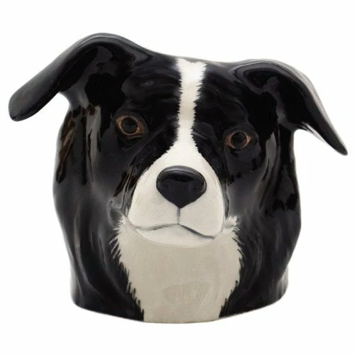 Cheapest β Quail Ceramics Border Collie Face Egg Cup 𧨠3 Quail Ceramics Border Collie Face Egg Cup