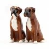 Top 10 ๐ Quail Ceramics Boxer ๐ฆฎ Dog Salt & Pepper Shakers ๐งจ 2 Quail Ceramics Boxer Dog Salt & Pepper Shakers
