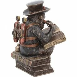 Best Sale 🌟 Chimpanzee Scholar Cold Cast Bronze By Nemesis Now Darwinism Steampunk 😉 10 Chimpanzee Scholar Cold Cast Bronze By Nemesis Now Darwinism Steampunk
