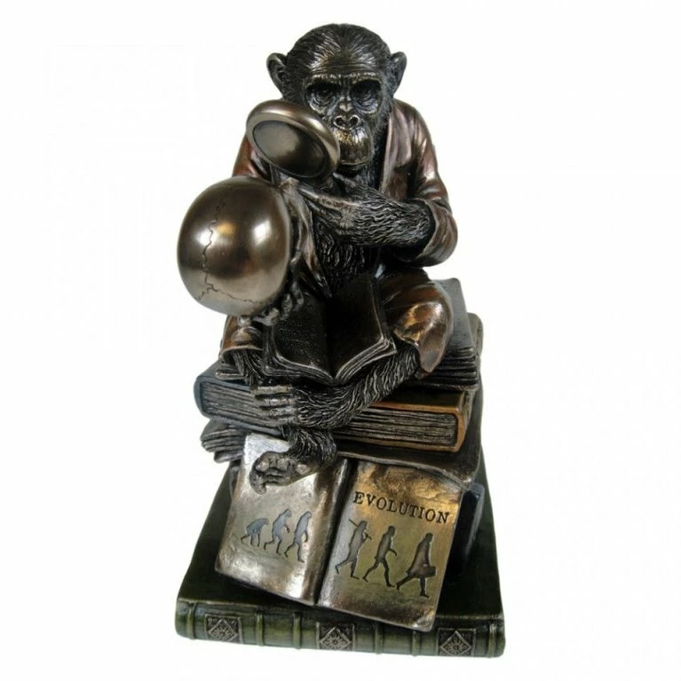 Best Pirce ❤️ Chimpanzee Darwinism Of Evolutionary Theory By Nemesis Now ✨ 4 Chimpanzee Darwinism Of Evolutionary Theory By Nemesis Now