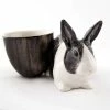 Quail Ceramics Grey & White Dutch Rabbit With Egg Cup