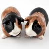 Budget π Quail Ceramics Guinea Pig Multicoloured Salt & Pepper Shakers β 2 Quail Ceramics Guinea Pig Multicoloured Salt & Pepper Shakers