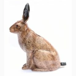 Cheapest π― Quail Ceramics Hare Money Box β€οΈ 9 Quail Ceramics Hare Money Box