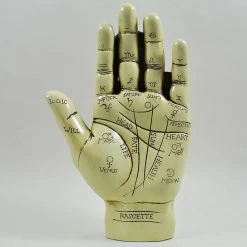 Fiesta Studios Palmistry Hand Ornament With Reading Instruction Booklet 19cm