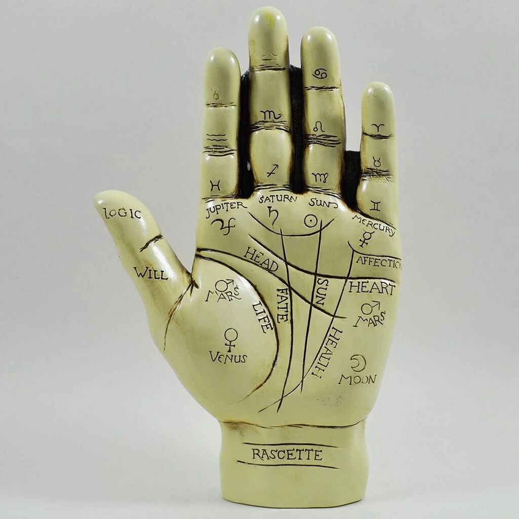 Hot Sale π Fiesta Studios Palmistry Hand Ornament With Reading Instruction Booklet 19cm β 3 Fiesta Studios Palmistry Hand Ornament With Reading Instruction Booklet 19cm
