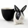 Quail Ceramics Black & White Dutch Rabbit With Egg Cup