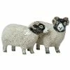 Quail Ceramics Swaledale Sheep Salt & Pepper Shakers