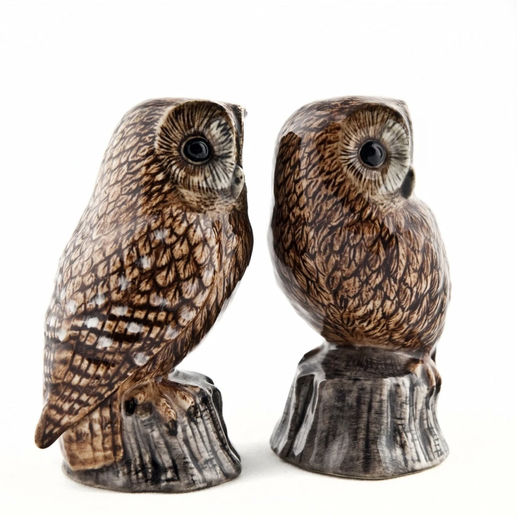 Promo ๐งจ Quail Ceramics Tawny Owl Salt & Pepper Shakers ๐ 4 Quail Ceramics Tawny Owl Salt & Pepper Shakers