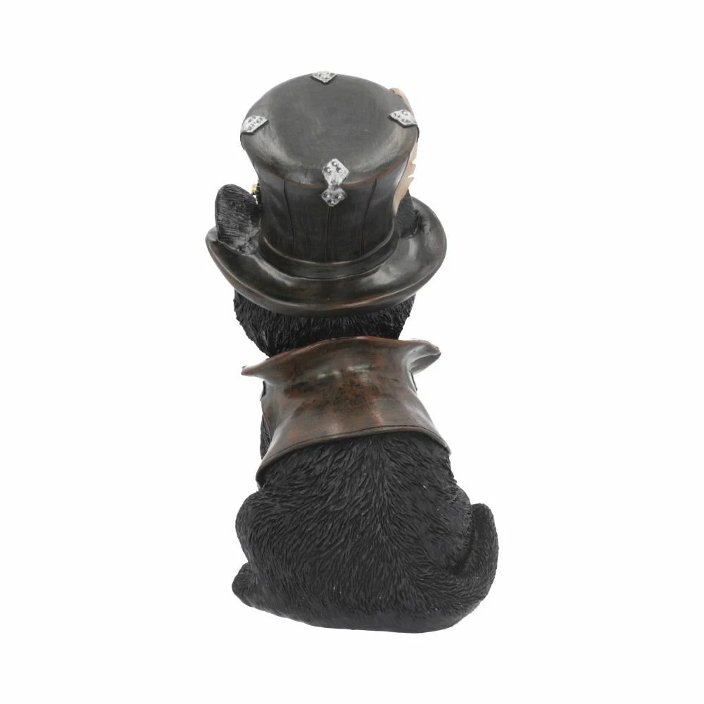 Best reviews of 💯 Cogsmith Steampunk Cat Figure By Nemesis Now ⌛ 7 Cogsmith Steampunk Cat Figure By Nemesis Now