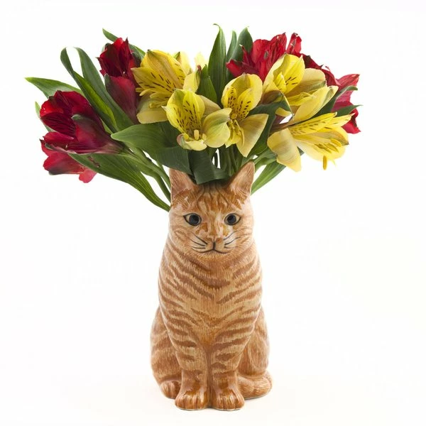 Cheap โค๏ธ Quail Ceramics Vincent Ginger Cat Large Flower Vase ๐ 5 Quail Ceramics Vincent Ginger Cat Large Flower Vase